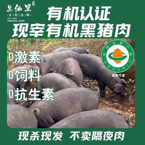 生仙里有机认证黑猪肉