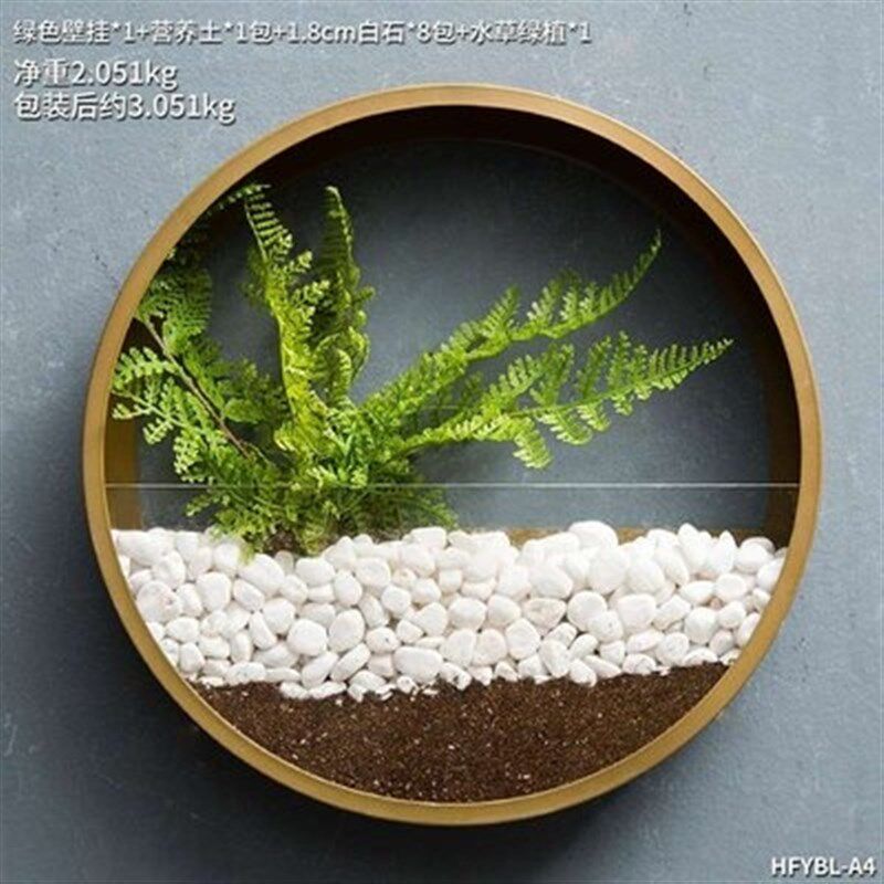公司盆景挂墙式组合吊饰大厅花草存放G圆形培栽墙面装饰壁画款玄