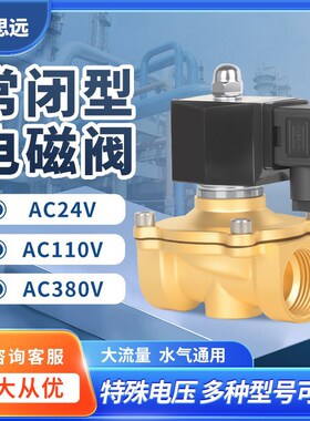 常闭电磁阀水阀户外防水自动浇水控制开关铜阀门ac24vac110v380v