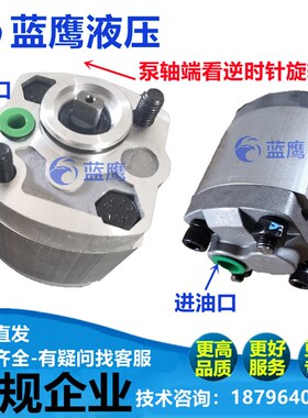 高压油泵CBK-F0.4/F0.5/F0.63/F1.0/F1.2液压齿轮油泵F1.3L/F1.5F