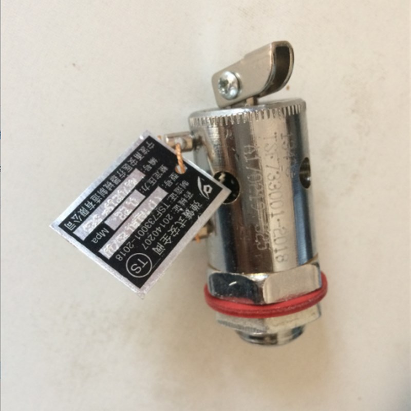 江阴滨江安全阀放气/汽阀LS-120LJ150LJ高压蒸汽灭菌器消毒锅配件