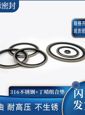 JB982-77丁晴+316不锈钢组合垫圈垫片密封圈O型圈骨架油封英制组