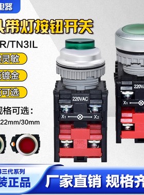 正品台湾天得tend凸头带灯按钮TN2ILR2G-1A 22mm TN3IR7G-1A 30MM