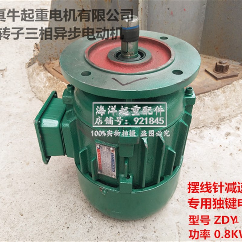 河南真牛起重电机锥形转子ZDY21-4 0.8KW独键电机 架桥机驱动电机