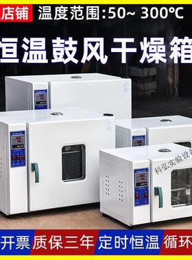 实验室电热恒温鼓风干燥箱工业烤箱小型烘箱改灯高温试验