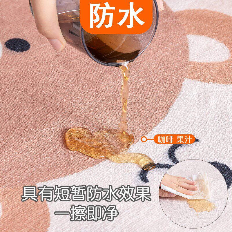 加厚卧室床边地毯房间地垫客y厅毛绒毯高级感床前飘窗地垫秋冬季