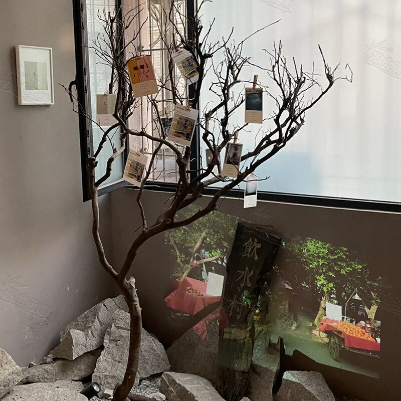 干树枝造景c干枝树干许愿树枯树室内圣诞造型树枝干原木树枝装饰