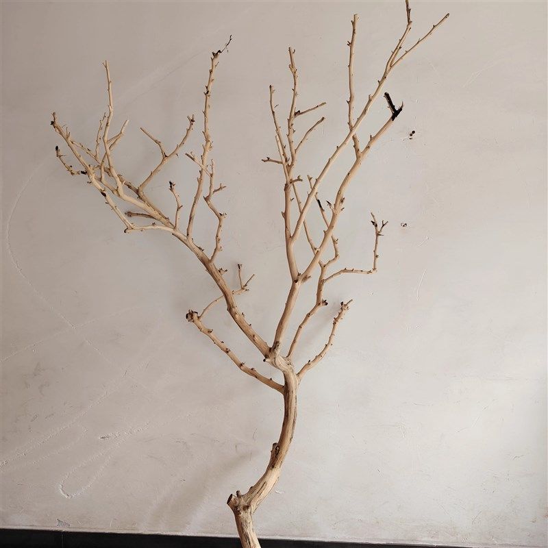吊灯干枝分枝干树枝装饰树干枯枝室内天花板挂R灯插花挂件舞台摆