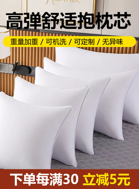 抱枕芯内胆枕芯沙发客厅靠垫芯45 50 I55卧室家用长方形靠背靠枕