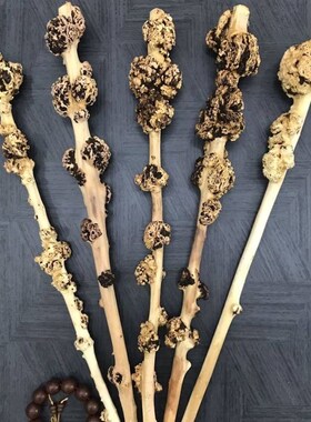 云南黑果木把玩棍手把件背锤木手杖拐杖木按摩健身背锤天然树瘤