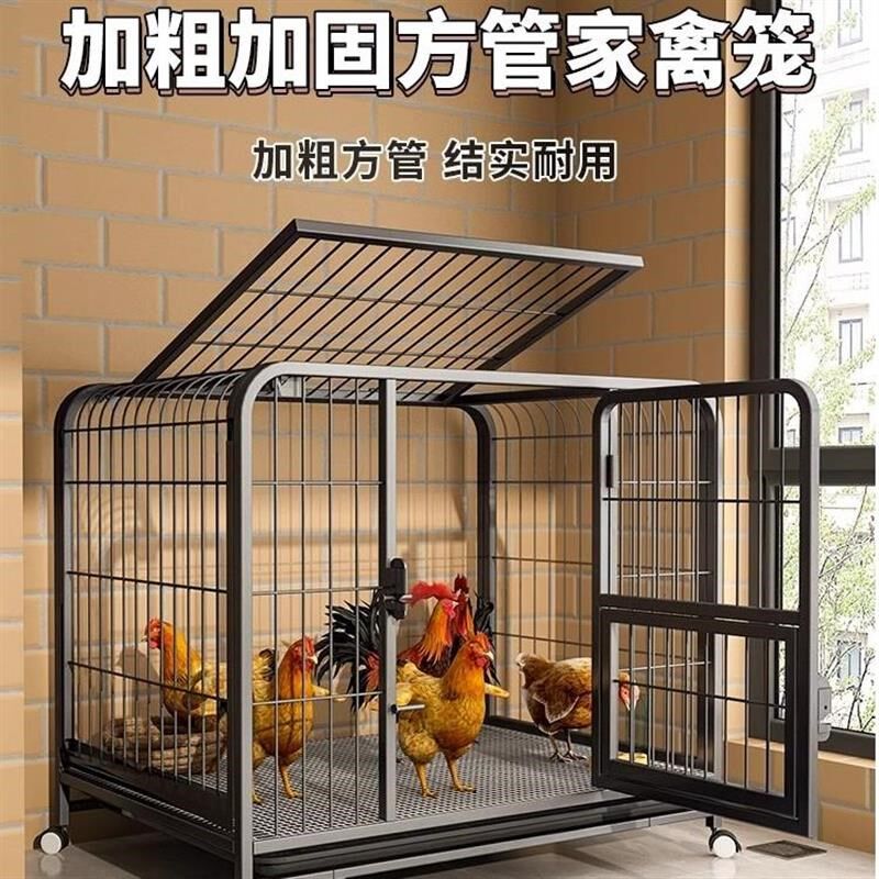 鸡笼子家用大号养殖笼鸡舍鸡窝自动清粪鸭笼铁丝网阳台户外家禽笼