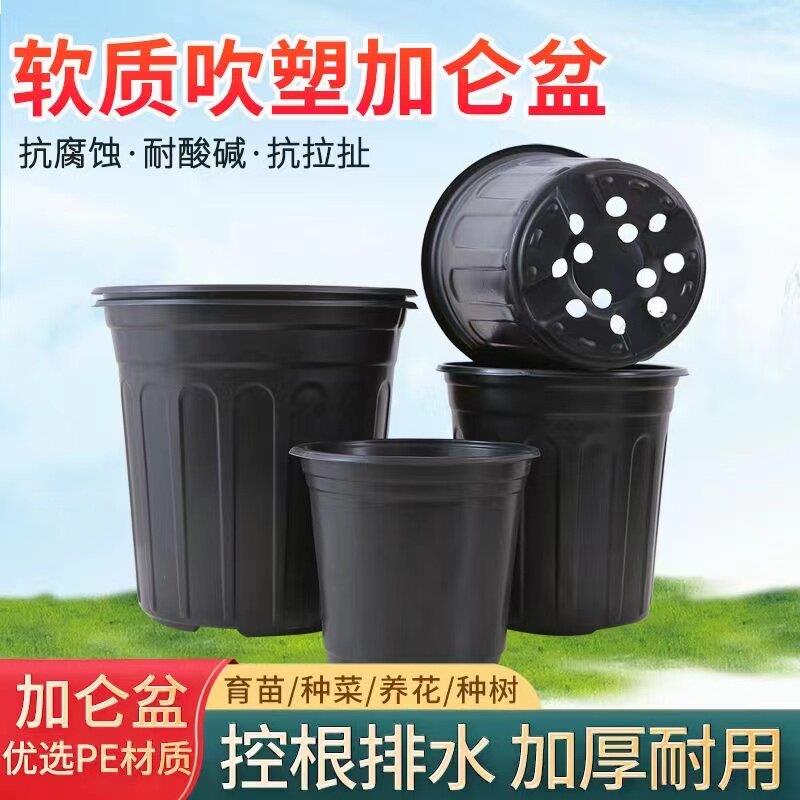 加仑盆黑色吹塑加厚营养钵育苗塑料苗圃专用简易可重复利用软花盆