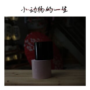 捆绑堵嘴静电F胶带 不粘汗毛