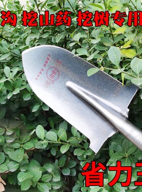 尖泥锹圆泥锹铁锹挖沟挖树挖山药尖锹全钢加厚园艺种植铲子大铁锨