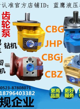 CBG3160 3125 3100 3140 3180 3200高液压齿轮泵马达CMG JHP CBGj