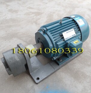 wbz2 B50 B63JZ卧式 WBZ 置 B40 齿轮油泵电机组装 液压油泵