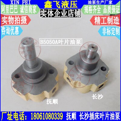 抚顺插床B5050A叶片泵CAK6150沈阳数控机床CAK5085叶片式润滑油泵