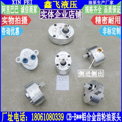 CBW-B10 LRB-2.5 TCBW-B6带耳朵CB-B4-D锯床齿轮油泵R  6X SUCH7