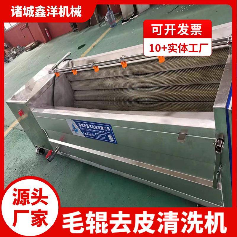 带皮猪肉毛辊去皮清洗机山药中药材去皮机萝卜冬瓜西葫芦脱皮机