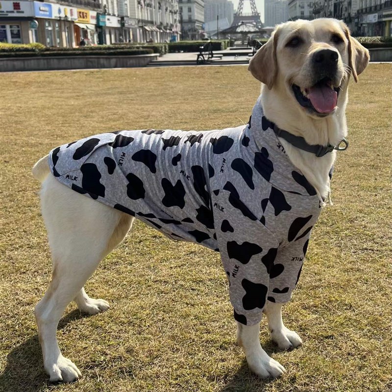 灰奶牛休闲薄绒帽衫秋冬季大狗衣服拉不拉多金毛