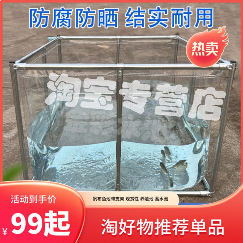 透明帆布鱼池防水布带支架观赏养A鱼池养殖水箱阳台户外庭院帆布