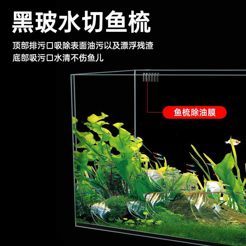 超白背虑鱼缸玻璃一体式金晶五线超白缸生态海缸T免换水家用自循