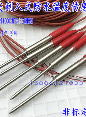 防水针型PT100温度感测器PT1000铂热电阻 热敏NTC监视器 测温棒定