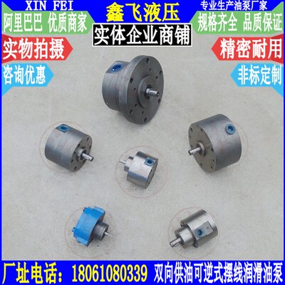 博能减速机油泵SNBY5/1.6AT双向定流性可逆式KNBY5/0.5摆线润滑泵