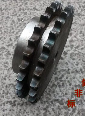 带台双排链轮 3分21齿 06B21T 齿链轮 节距9.525   可定做非标