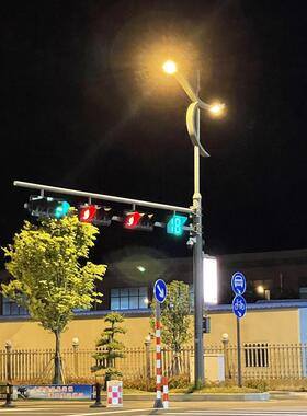 控多路灯体合监杆路灯功能路灯监控一杆SOJ工程LED路灯综合杆