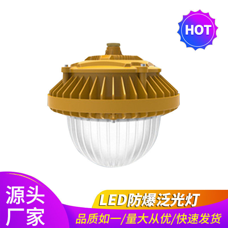 LED防爆吸吊两用高顶灯100W