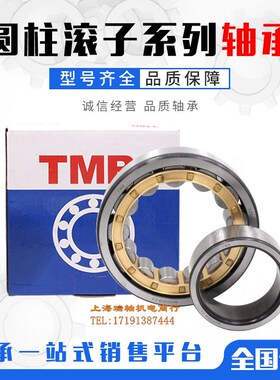 浙江天马TMB轴承 NU NJ 2205 2206 2207 2208 2209 2210 2211 EM