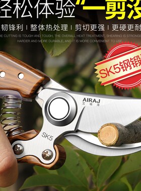 花剪园林园艺大剪刀修枝剪树枝剪刀剪子果树摘菜茶叶水果神器省力