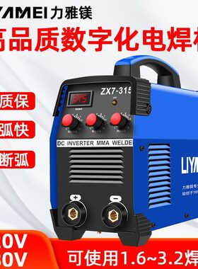力雅镁电焊机220V家用380V工业级可携式250迷你全铜小型315双电压