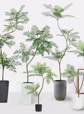 家客厅大植物装饰型假散尾葵仿真蓝DDE花楹盆栽天竹南仿真居树