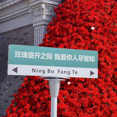 红打婚卡背景花墙玫瑰瀑布网盛凯吉5E墙布置仿真假花红玫瑰花冰川