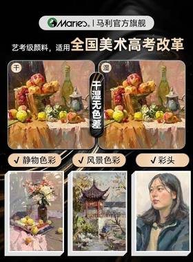 水粉颜料42美术生套装4策马光逐2色色54BJA色果冻色彩颜料白色艺