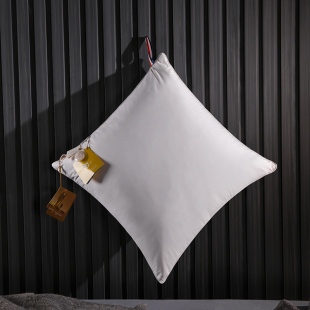 靠背枕床头羽绒靠垫抱枕芯客厅沙发靠枕芯9M5白鹅绒办公室卧室腰