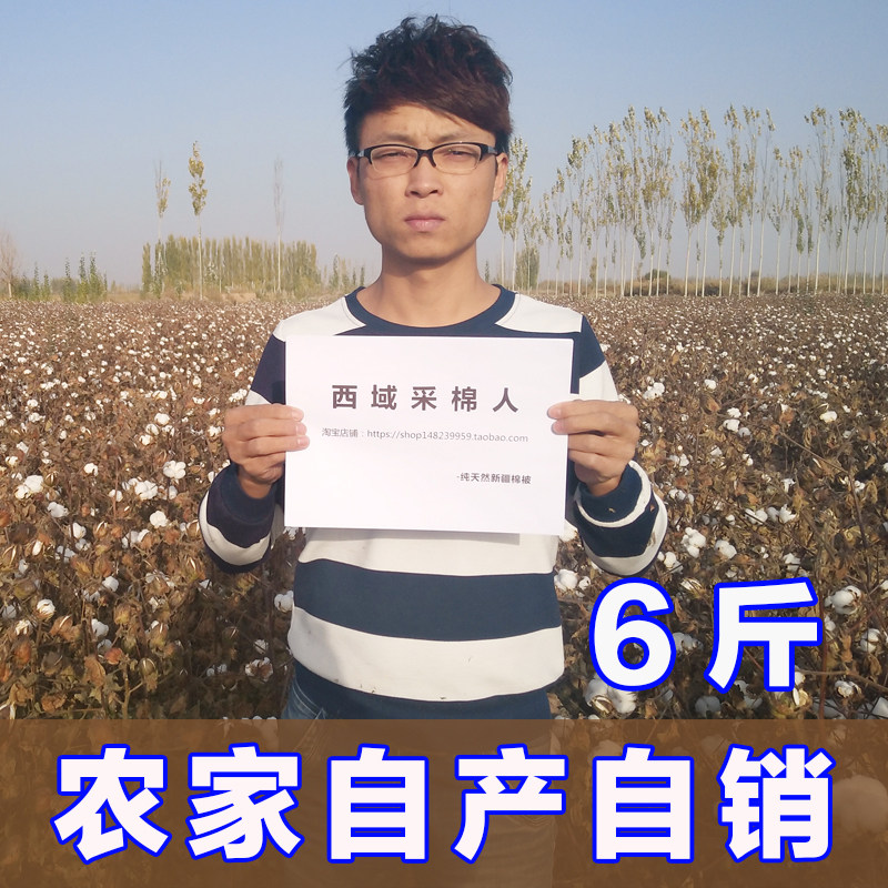 新疆长绒棉e花被6斤棉花胎六斤棉芯被铺盖被子棉被冬季加厚保暖