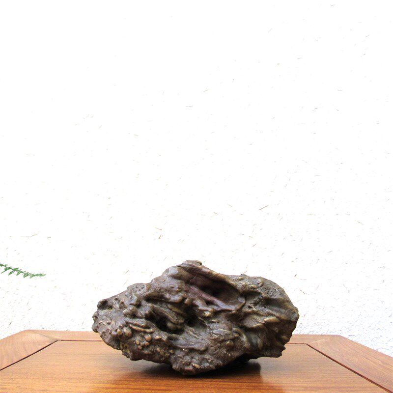 天然戈壁奇石风凌石原石整体随形摆件艺术造景观赏石收.藏高档礼