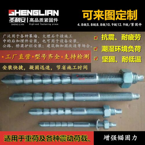 国标倒锥形锚栓高强度定型螺栓特殊膨胀化学螺丝M10M12M16M20M24