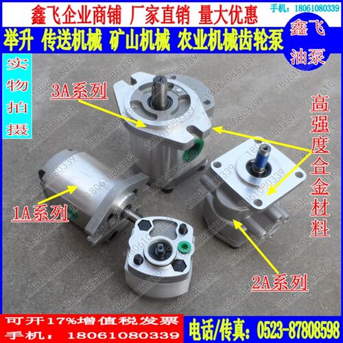 RGP-F306R/F308R/F310R/R312R/314R/F316R/F320R/F325R齿轮油泵RN