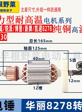 适用华丽雷威锐派博普新牌凯诺8278降龙X30电锤转子定子电机配件