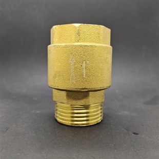 全铜4分立式止回阀弹簧单向阀6分1寸内外丝卧式逆止阀铜杆止水阀