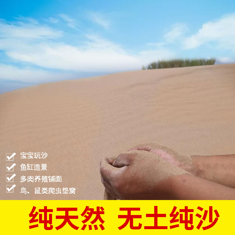 天然沙漠细沙儿童乐园宝宝玩具沙仓鼠浴沙宠物沙乌龟宠物鱼缸沙子