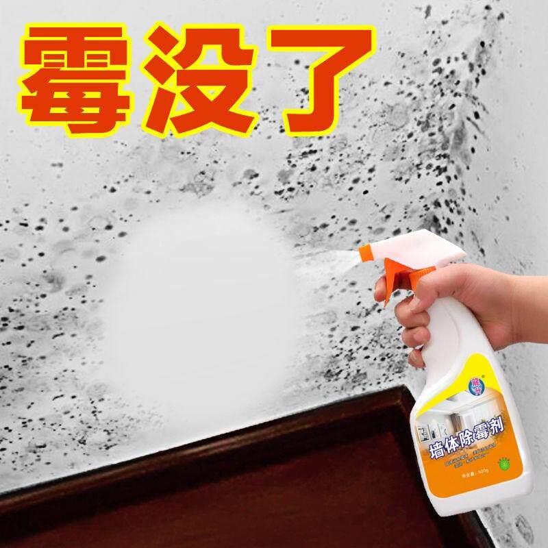 墙面受潮发霉墙壁发霉回南天屋顶大白墙身除霉除虫喷雾去潮除霉斑
