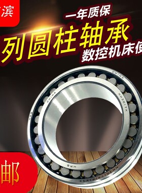 HRB哈尔滨双列圆柱滚子机床轴承NN3009 3010 3011 3012K/W33P5 P4