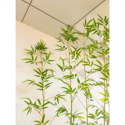 仿真竹子细水竹室外假竹子带盆仿真植物隔断挡墙酒店专用装饰造景