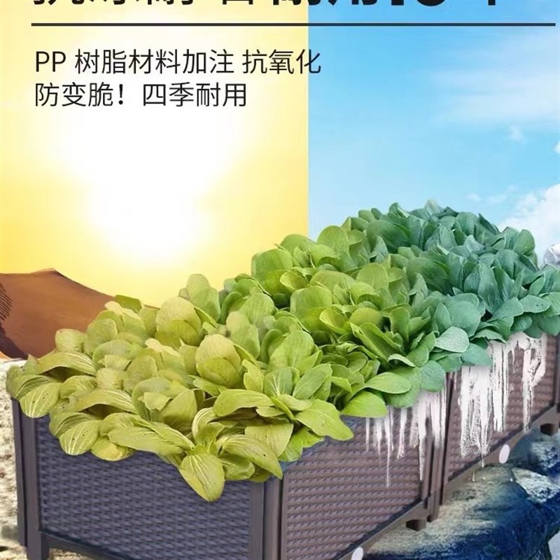 室内种菜箱围栏式花盆塑料天台户外阳台楼顶种花的围栏种植箱