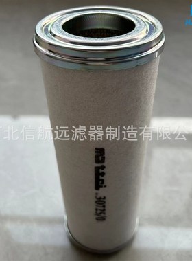 CR21F30725/804003209/CR21F30389/803447955滤芯